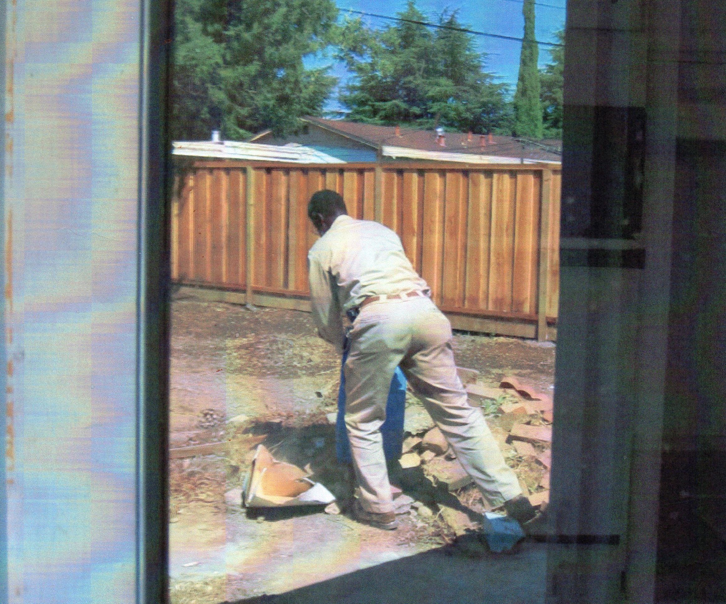 back yard, Saratoga, California.